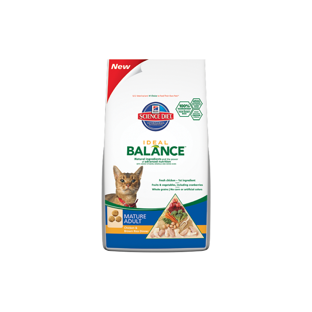 cat diet food