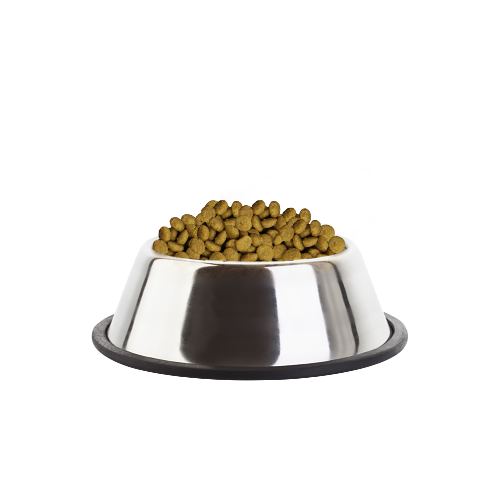 Cat Food Pnj