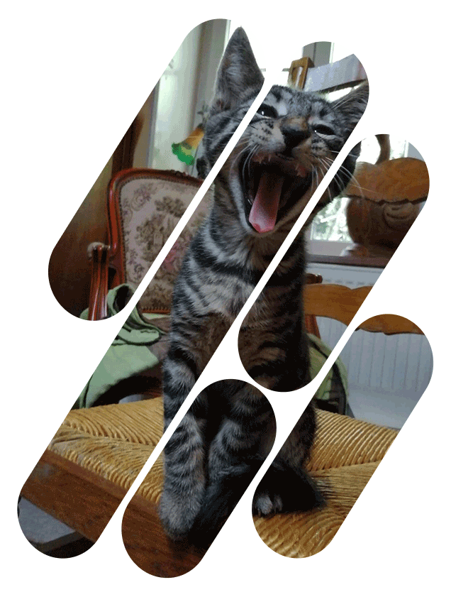 Les Bitcher'Katz nous soutenir