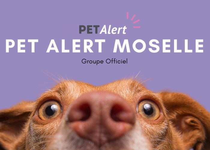 Pet Alert 57 Moselle
