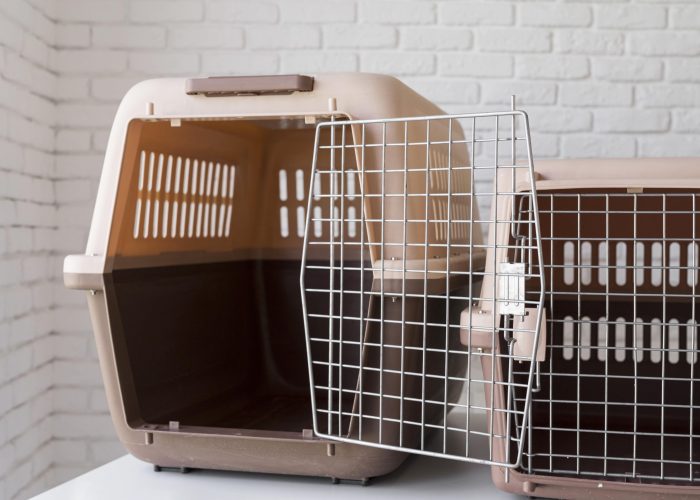 caisse de transport chat Les Bitcher Katz